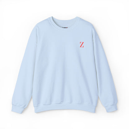 Z Vision