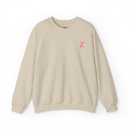 Z Vision