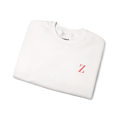 Z Vision