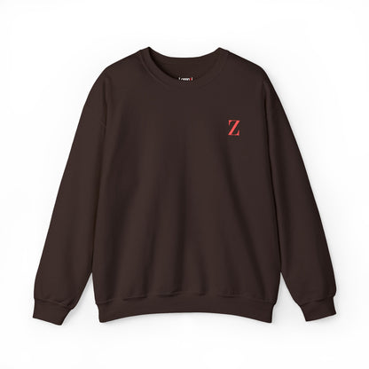 Z Vision